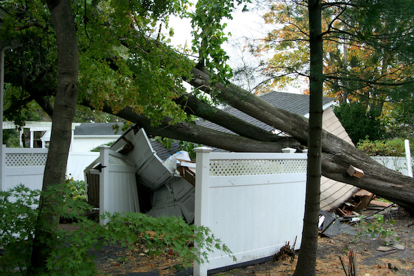 Storm Damage Cleanup